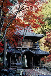 お寺と紅葉の写真